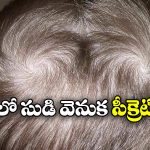 Double Crown Hair: తలపై రెండు సుడులు ఉంటే రెండు పెళ్లిల్లు అవుతాయా?