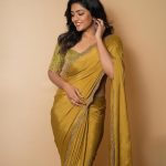Eesha Rebba:  గోల్డ్‌ కలర్‌ ఫ్యాన్సీ చీరలో ఈషా రెబ్బా హాట్ లుక్స్‌.. ఏముందిరా బాబూ..!
