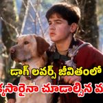 OTT Movie : గత్యంతరం లేక కుక్కను నట్టనడి అడవిలో వదిలేస్తే… చివరికి అది చేసే పనికి దిమాక్ కరాబ్ మావా