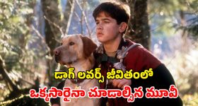 Today Horoscope in Telugu: నేటి రాశిఫలాలు (28/09/2025)               