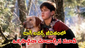 OTT Movie : గత్యంతరం లేక కుక్కను నట్టనడి అడవిలో వదిలేస్తే… చివరికి అది చేసే పనికి దిమాక్ కరాబ్ మావా