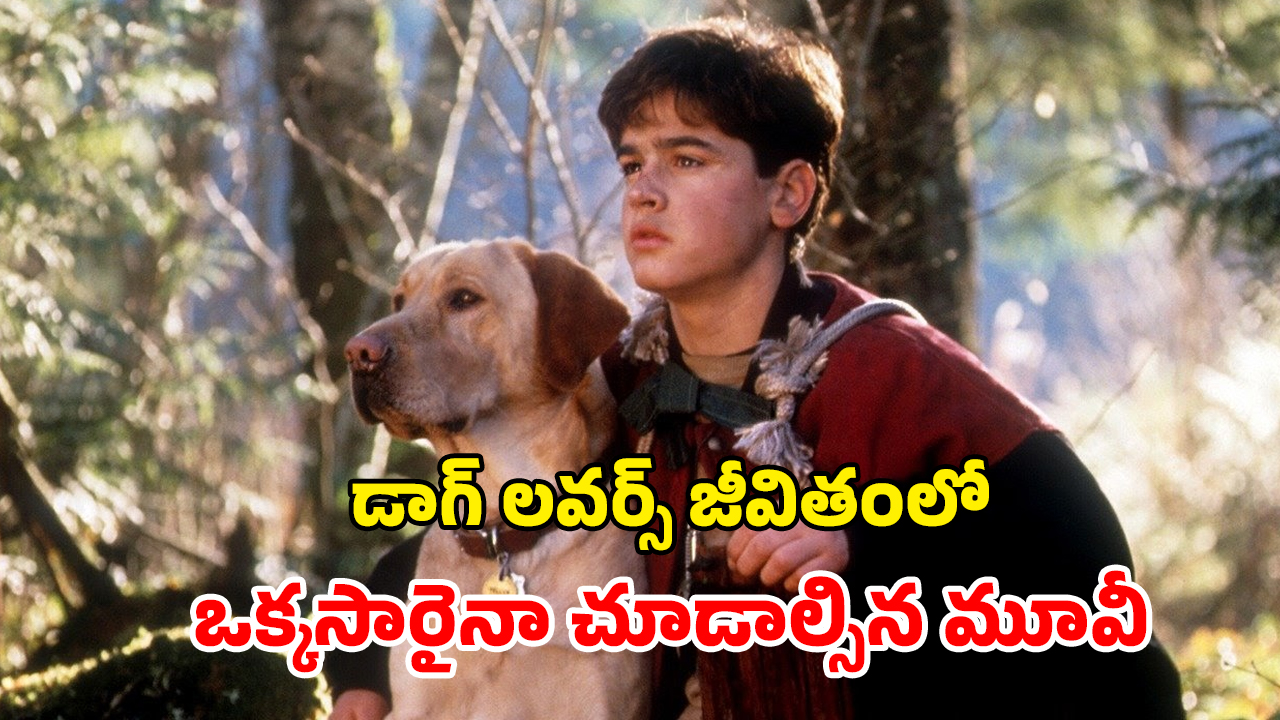 OTT Movie : గత్యంతరం లేక కుక్కను నట్టనడి అడవిలో వదిలేస్తే… చివరికి అది చేసే పనికి దిమాక్ కరాబ్ మావా