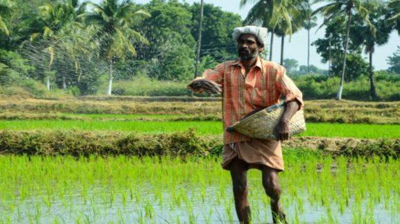 GST Relief To Farmers: జీఎస్టీ తగ్గింపుతో రైతులకు భారీ ఊరట.. వేటిపై ధరలు తగ్గనున్నాయంటే?