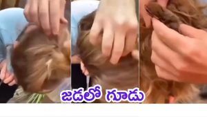 Viral Video: 12 ఏళ్ల బాలిక జడ కొప్పులో ఉడుత గూడు, వీడియో వైరల్