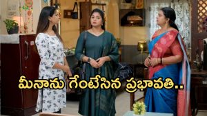 GudiGantalu Today episode: మీనా పై అక్కసు కక్కేసిన ప్రభావతి.. శృతి మాటతో రోహిణికి షాక్.. మీనాను గెంటేసిన ప్రభావతి..