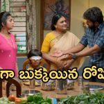 GudiGantalu Today episode: రోహిణి నిజ స్వరూపం బయటపడుతుందా..? మీనాను లాక్ చేసిన విద్య.. బాలుకు అనుమానం..