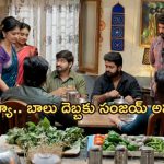 GudiGantalu Today episode: కుళ్లుకున్న ప్రభావతి.. సంజయ్ కు చుక్కలు చూపించిన బాలు.. అయ్యో పాపం..