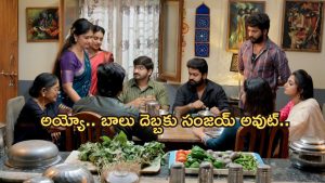 GudiGantalu Today episode: కుళ్లుకున్న ప్రభావతి.. సంజయ్ కు చుక్కలు చూపించిన బాలు.. అయ్యో పాపం..