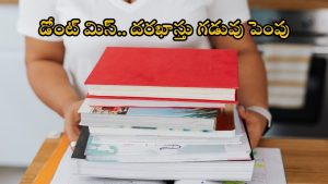 IBPS Recruitment: బిగ్ గుడ్‌న్యూస్.. డిగ్రీ అర్హతతో 13,217 ఉద్యోగాలు.. దరఖాస్తు గడువు పెంపు