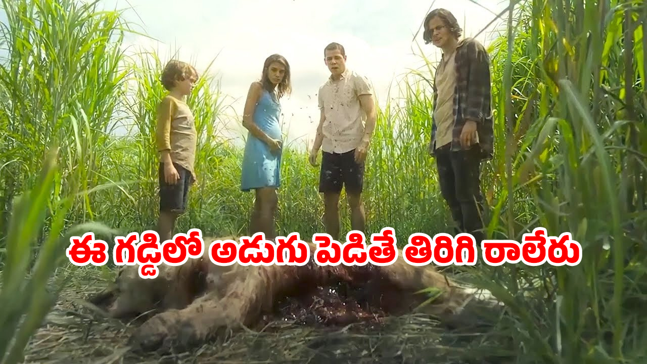 OTT Movie : గడ్డివాములో గందరగోళం… పిల్లాడికి హెల్ప్ చెయ్యడానికి వెళ్లి ట్రాప్… గూస్ బంప్స్ పక్కా