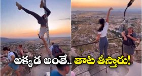 YSR Congress Party: తీవ్ర విషాదం.. వైసీపీ సీనియర్ నేత తోపుదుర్తి భాస్కర్ రెడ్డి మృతి..