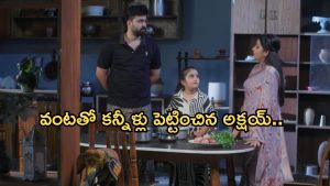 Intinti Ramayanam Today Episode: అక్షయ్ కు దిమ్మతిరిగే షాక్.. అవని దగ్గరకు వచ్చిన పార్వతి.. కన్నీళ్లు పెట్టుకున్న అక్షయ్..