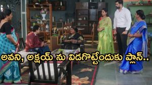 Intinti Ramayanam Today Episode: అవని వంటను మెచ్చుకున్న బాస్.. విడగొట్టేందుకు ప్లాన్.. పల్లవికి మైండ్ బ్లాక్..