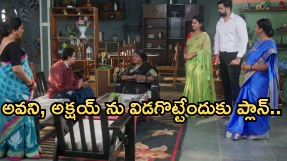 Intinti Ramayanam Today Episode: అవని వంటను మెచ్చుకున్న బాస్.. విడగొట్టేందుకు ప్లాన్.. పల్లవికి మైండ్ బ్లాక్..
