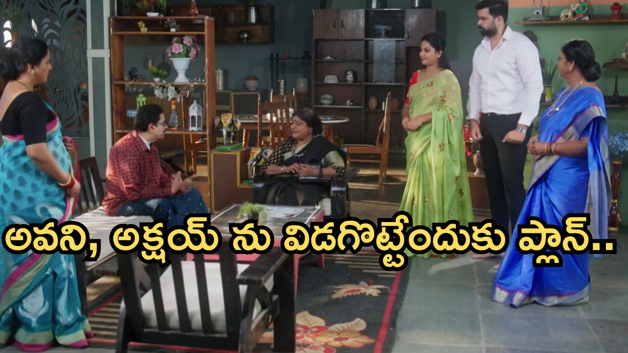 Intinti Ramayanam Today Episode: అవని వంటను మెచ్చుకున్న బాస్.. విడగొట్టేందుకు ప్లాన్.. పల్లవికి మైండ్ బ్లాక్..