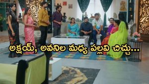 Intinti Ramayanam Today Episode: గీత పై బాస్ సీరియస్.. పల్లవికి మైండ్ బ్లాక్ దెబ్బ.. పార్వతికి షాకిచ్చిన అక్షయ్..