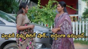 Intinti Ramayanam Today Episode: పల్లవికి మైండ్ బ్లాక్.. అవని ప్లాన్ సక్సెస్..పార్టీ మార్చిన శ్రీకర్..