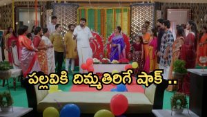 Intinti Ramayanam Today Episode: అక్షయ్ ను ట్రాప్ చేసిన పల్లవి.. ఫంక్షన్ లో రచ్చ రచ్చ.. పల్లవికి దిమ్మతిరిగే షాక్..