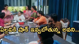 Intinti Ramayanam Today Episode: గుడ్ న్యూస్ చెప్పిన అవని.. ఫిట్టింగ్ పెట్టిన పల్లవి.. నిజం తెలుసుకున్న అవని..?