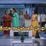 Intinti Ramayanam Today Episode: పల్లవికి అవని స్ట్రాంగ్ వార్నింగ్.. శ్రీకర్ ను వదిలేసిన శ్రీయా.. పార్వతికి అవమానం..