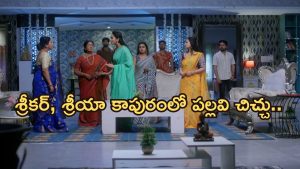 Intinti Ramayanam Today Episode: పల్లవికి అవని స్ట్రాంగ్ వార్నింగ్.. శ్రీకర్ ను వదిలేసిన శ్రీయా.. పార్వతికి అవమానం..