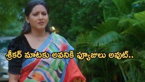 Intinti Ramayanam Today Episode:  పార్వతి కోరికను అవని తీరుస్తుందా..? భరత్ ను వదలని పల్లవి.. మారిపోయిన శ్రీకర్..