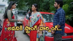 Intinti Ramayanam Today Episode: పల్లవి ప్లాన్ సక్సెస్.. శ్రీయాకు మైండ్ బ్లాక్.. అవనికి స్ట్రాంగ్ కౌంటర్..