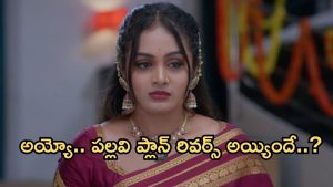 Intinti Ramayanam Today Episode: బయటకొచ్చిన శ్రీకర్.. పల్లవికి దిమ్మతిరిగే షాక్.. అవనికి నిజం తెలుస్తుందా..?
