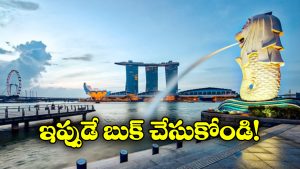 Singapore – Malaysia: మలేసియా, సింగపూర్‌లకు IRCTC సరికొత్త ప్యాకేజ్.. మరీ ఇంత చౌకగానా?