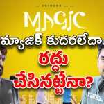 Magic Movie Telugu : నాగవంశీకి ‘మ్యాజిక్’ లేదు.. మరో 10 కోట్లు లాస్ అయినట్టేనా ?