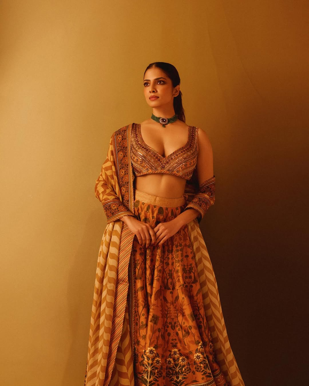 Malavika Mohanan Photo Gallery