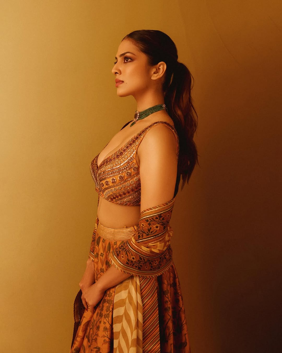 Malavika Mohanan Photo Gallery
