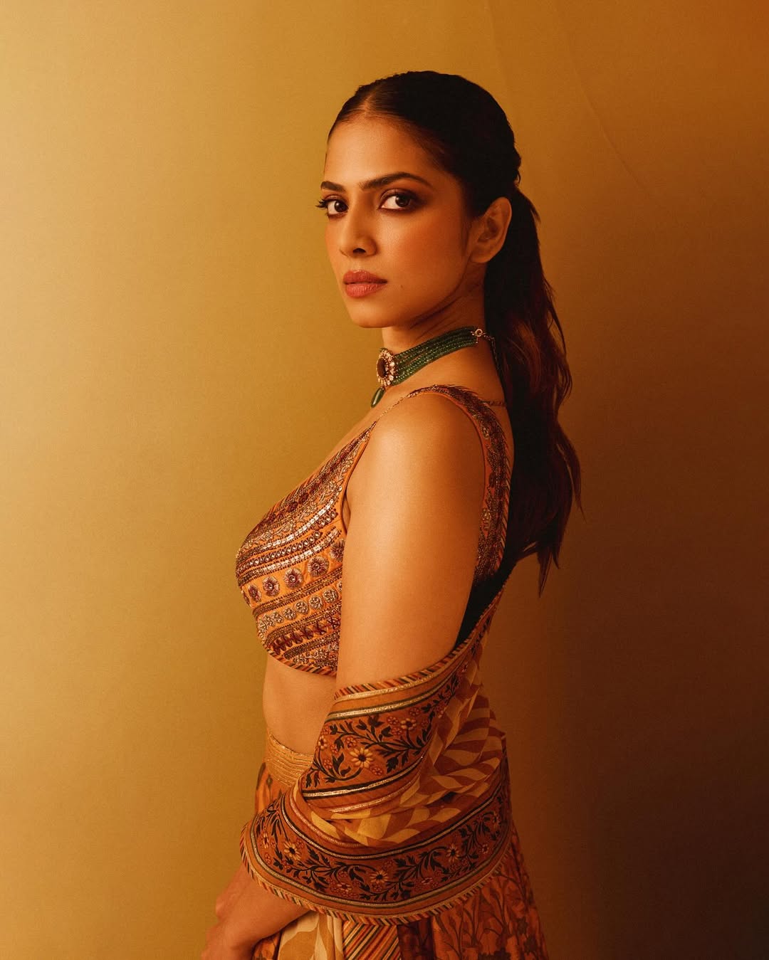 Malavika Mohanan Photo Gallery