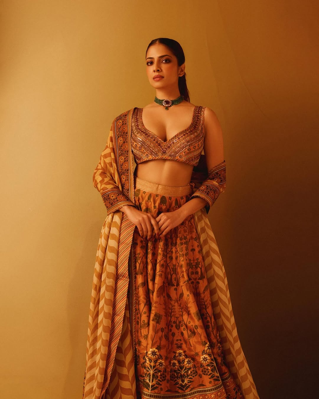 Malavika Mohanan Photo Gallery
