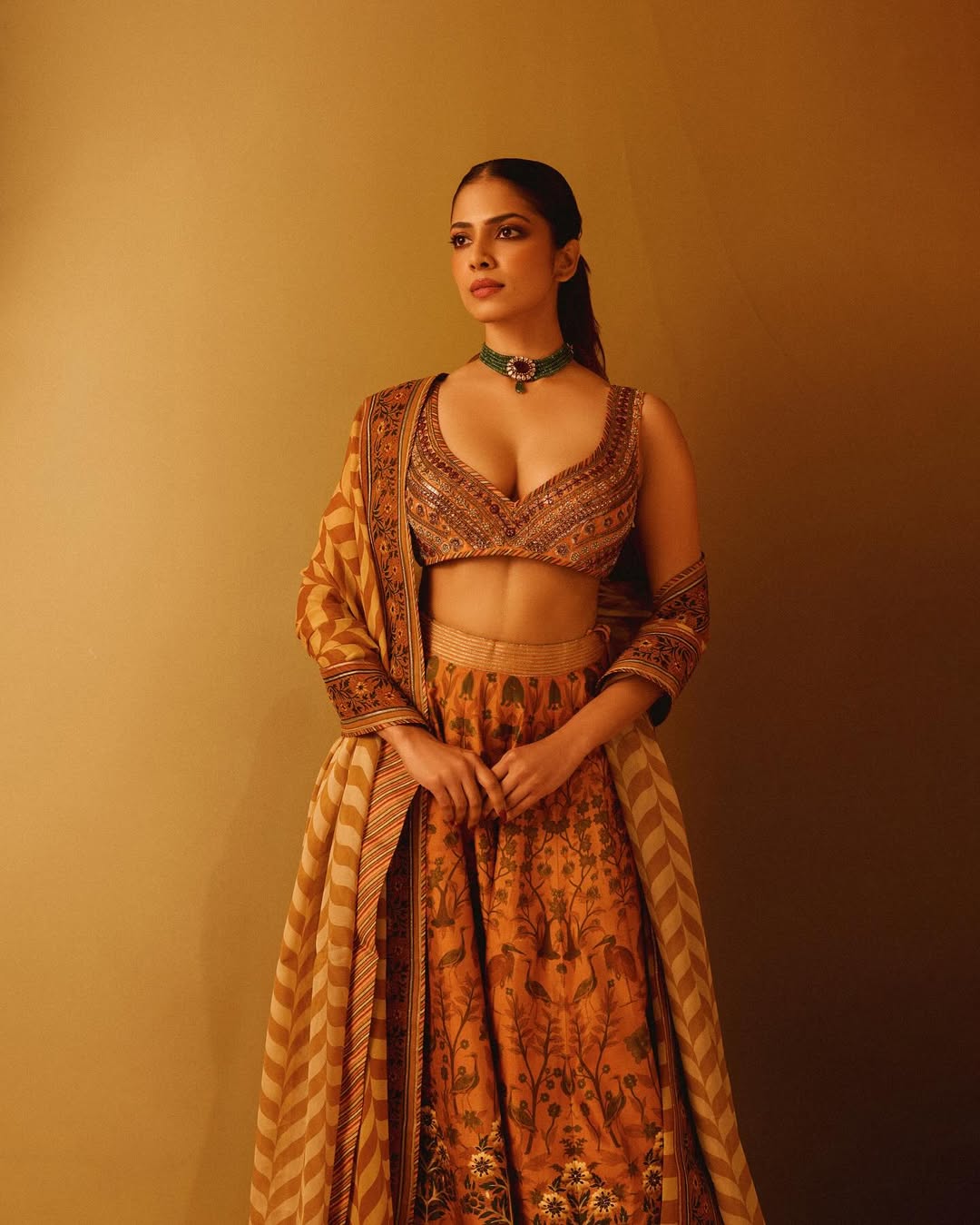 Malavika Mohanan Photo Gallery