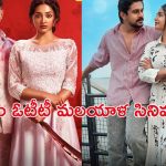 OTT Movie : లవ్  స్టోరీ నుంచి క్రైమ్ వరకు… ఈ వారం ఓటీటీలోకి రాబోతున్న మలయాళ సినిమాలు