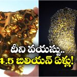 Meteorite: ఆకాశం నుంచి పడ్డ బంగారు ఉల్క.. అసలు విషయం తెలిసి అంతా షాక్!