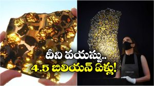 Meteorite: ఆకాశం నుంచి పడ్డ బంగారు ఉల్క.. అసలు విషయం తెలిసి అంతా షాక్!