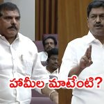 Payyavula Vs Botsa: మండలిలో పీఆర్సీ రచ్చ.. వాకౌట్ చేసిన వైసీపీ, మంత్రి పయ్యావుల ఏమన్నారు?