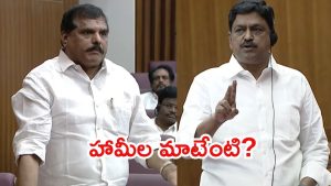 Payyavula Vs Botsa: మండలిలో పీఆర్సీ రచ్చ.. వాకౌట్ చేసిన వైసీపీ, మంత్రి పయ్యావుల ఏమన్నారు?