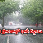 Rain Alert: ఈ జిల్లాల ప్రజలు అలర్ట్..!  భారీ వర్షం, పిడుగులు పడే ఛాన్స్..