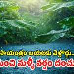 Heavy Rain Alert: రాష్ట్రంలో మరో ఐదు రోజులు కుండపోత వర్షాలు.. బయటకు వెళ్లారో ముంచేస్తుంది