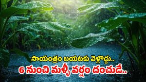 Heavy Rain Alert: రాష్ట్రంలో మరో ఐదు రోజులు కుండపోత వర్షాలు.. బయటకు వెళ్లారో ముంచేస్తుంది