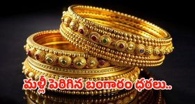 Walking: ఖాళీ కడుపుతో లేదా తిన్న తర్వాత.. ఎప్పుడు నడిస్తే మంచిది ?