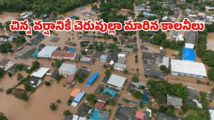 Rains Effect: ఓరుగల్లులో చినుకు పడితే చిత్తడే.. ఎన్నాళ్లీ వరద కష్టాలు..