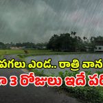 Rain Alert: హెచ్చరిక..! రాష్ట్రంలో మరో 3 రోజులు భారీ వర్షాలు.. ఈ ప్రాంతాల్లో ఉరుములు, మెరుపులు, పిడుగుల పడే ఛాన్స్..