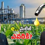 E20 Petrol: తగ్గుతున్న మైలేజ్.. E20 పెట్రోల్‌పై అనుమానాలు