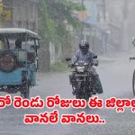 Rain Alert: తెలుగు రాష్ట్రాలకు భారీ వర్ష సూచన.. ఈ జిల్లాల్లో కుండపోత వానలు పడే ఛాన్స్..