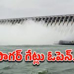 Nagarjuna Sagar: నాగార్జునసాగర్ జలాశయానికి పోటెత్తిన వరద.. 26 గేట్లు ఎత్తివేత నీటి విడుదల
