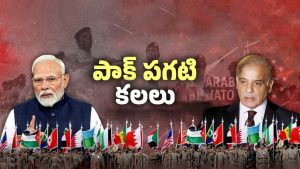 India Vs Pakistan: ఇస్లామిక్ నాటో పైనే పాకిస్తాన్ ఆశలు.. భారత్‌కు ముప్పు తప్పదా?